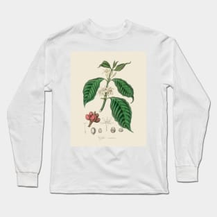 Coffee Bean Antique Botanical Illustration Long Sleeve T-Shirt